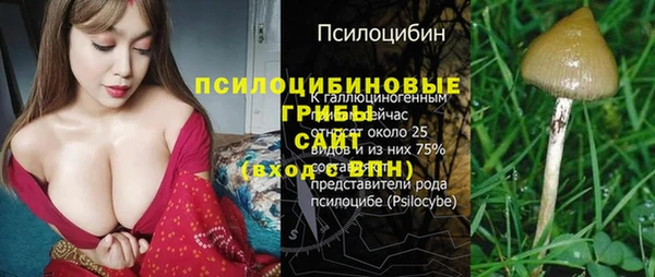 ALPHA-PVP Инсар