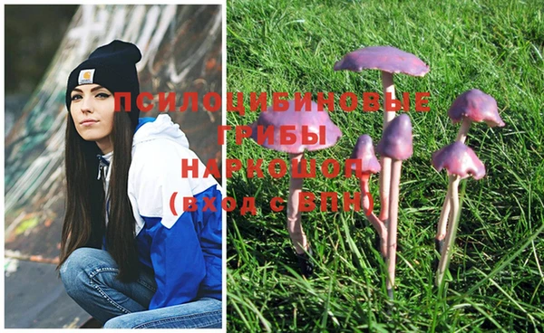 ALPHA-PVP Инсар