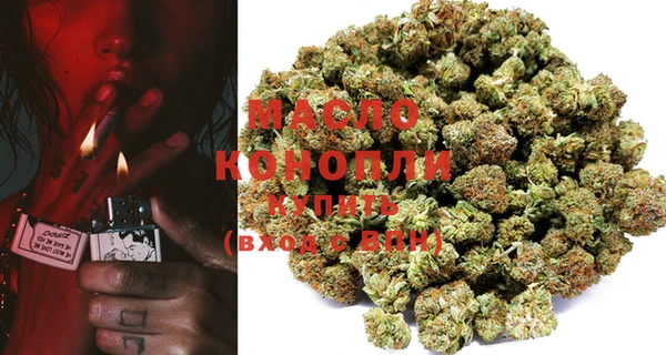 гидропоника Каменка