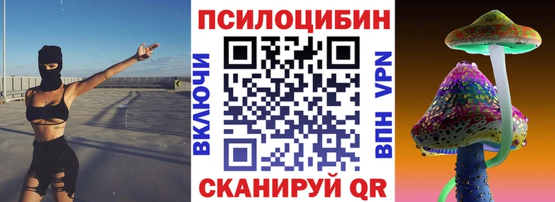 Купить где  Камышин  Галлюциногенные грибы Psilocybine cubensis 