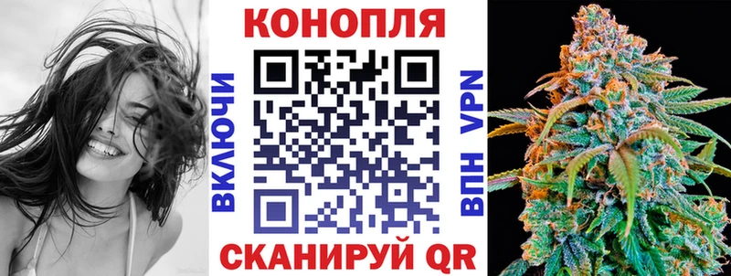 Конопля Bruce Banner  Купить закладки  Камышин